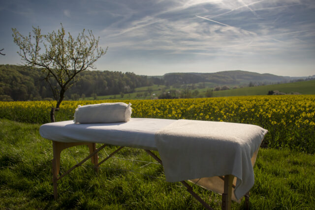 Rapsfeld © Nicole Mattern