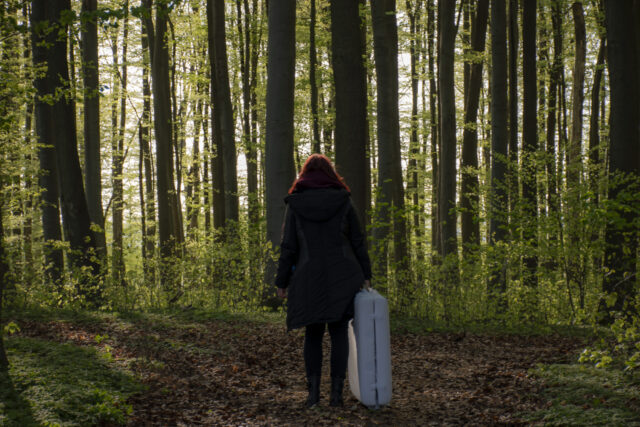 Wald © Nicole Mattern