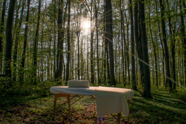 Wald © Nicole Mattern