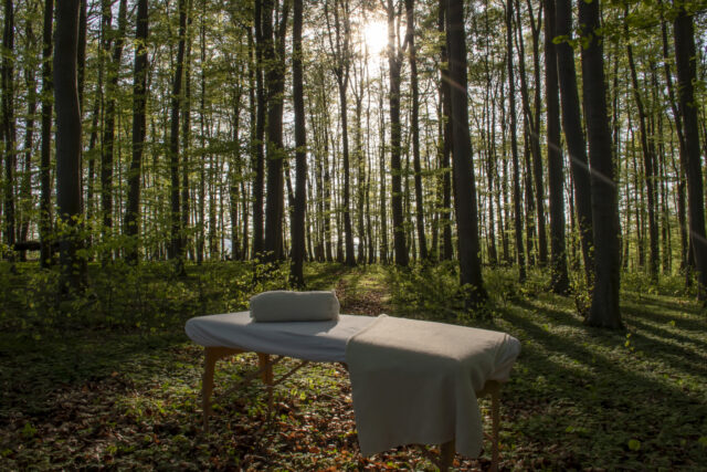 Wald © Nicole Mattern