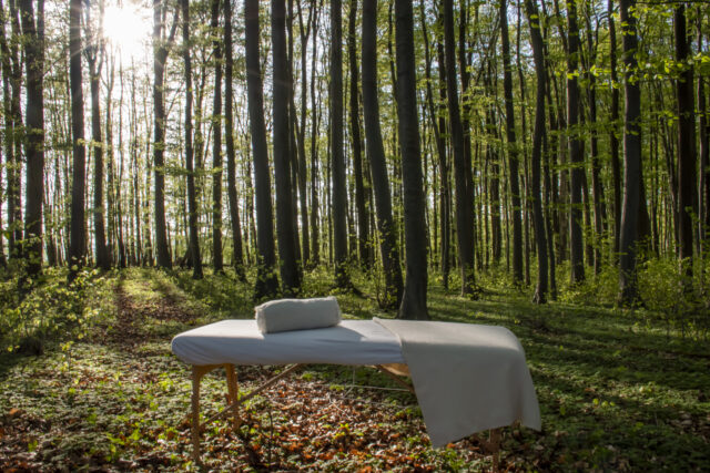 Wald © Nicole Mattern