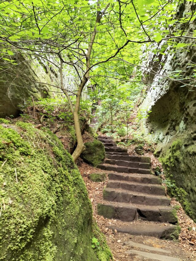 Sächsische Schweiz (10)