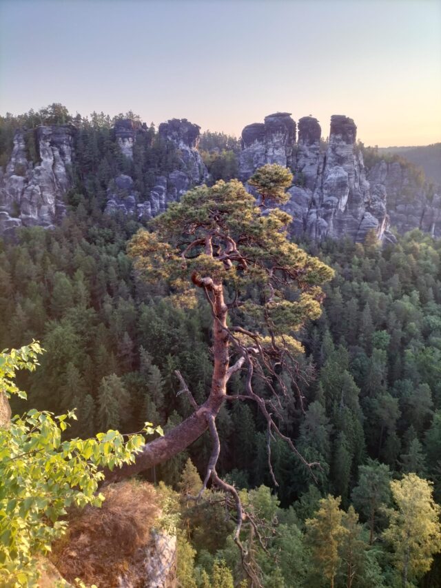 Sächsische Schweiz (15)