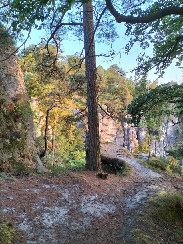 Sächsische Schweiz (16)