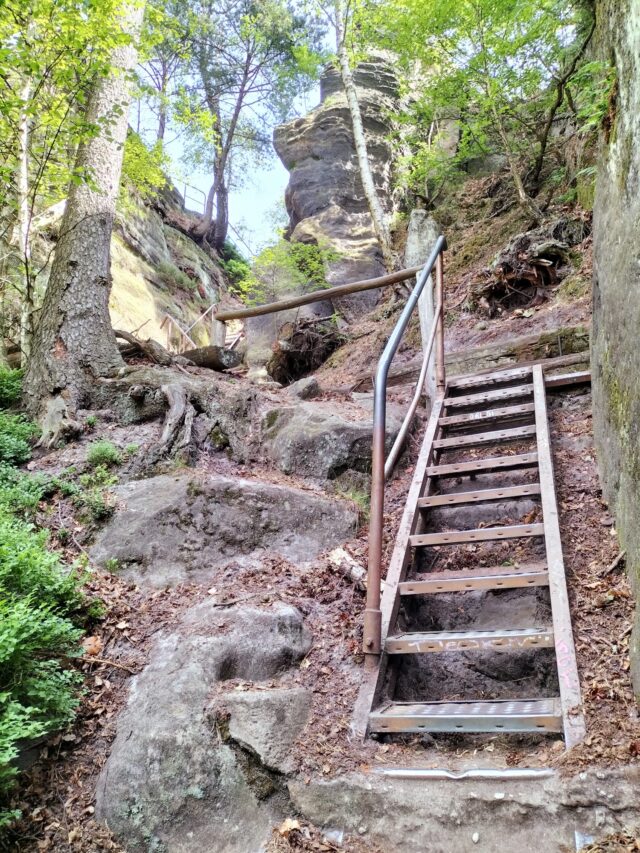 Sächsische Schweiz (5)