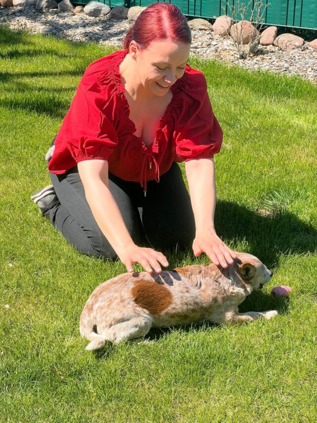 Reiki am Tier Reiki am Tier