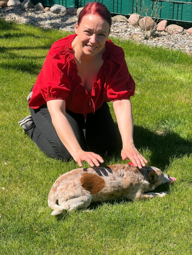 Reiki am Tier Reiki am Tier