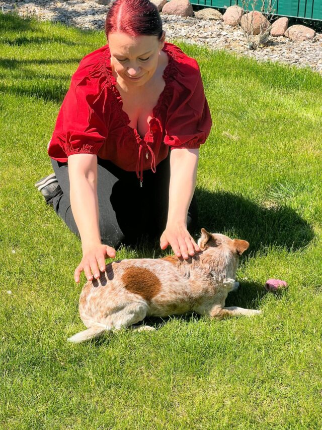 Reiki am Tier Reiki am Tier