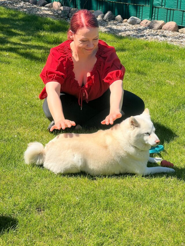 Reiki am Tier Reiki am Tier