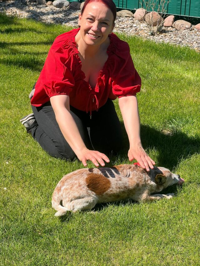 Reiki am Tier Reiki am Tier