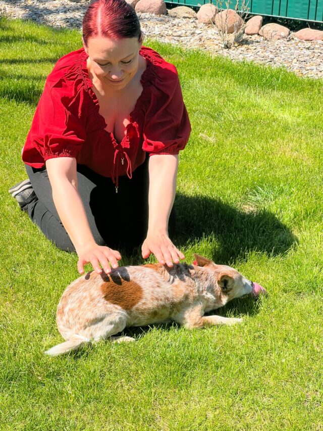 Reiki am Tier Reiki am Tier